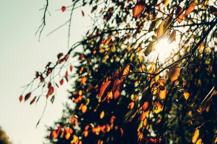 Złota jesień - podsumowanie października
